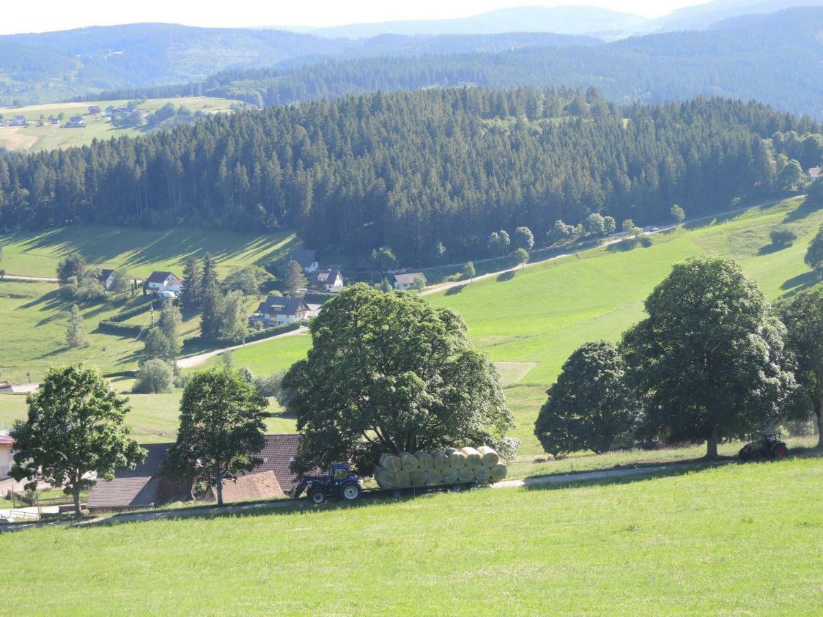 Ferienwohnung Saig Lenzkirch Eksteriør billede